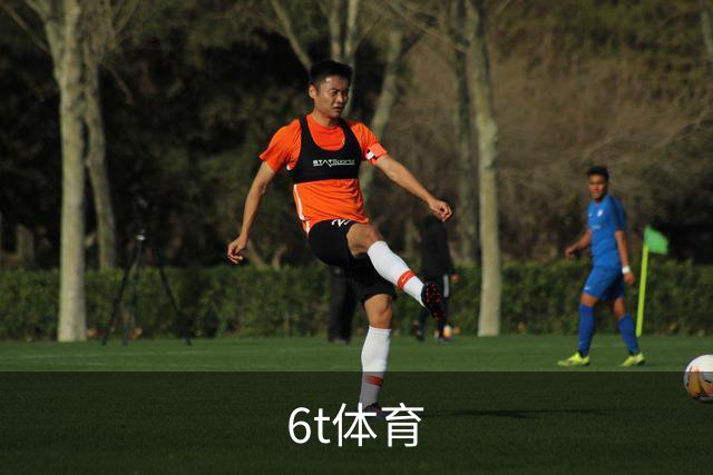 6t体育公司介绍展示图